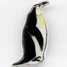 pinguin01.jpg